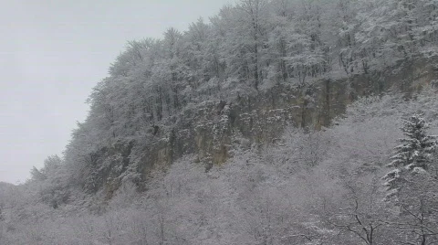 Snow trees on the rock Stock Footage 609004
