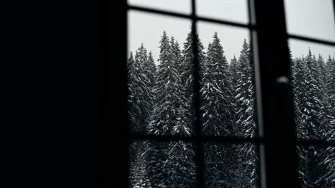 Snow trees from the window Stock Footage 170550044