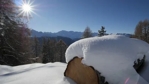 Snow Trunk Layer Winter 4k Sun Tripod Stock Footage 171341669