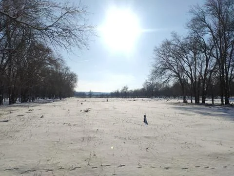 Snow under the sun Fotos de archivo