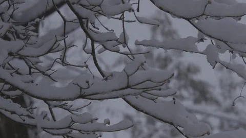 Snow in urban setting Stock Footage 87478182