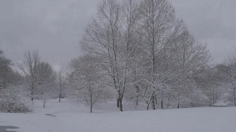 Snow in urban setting 動画素材 87478625