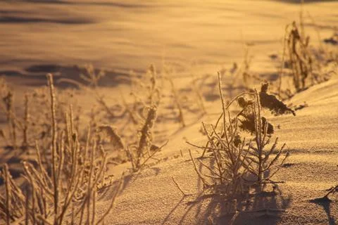 Snow view Stock Photos