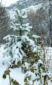 Snow view in winter Stockfoto's