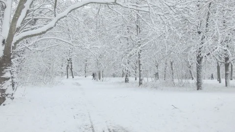 Snow in Vincennes  Stock Footage 87344760