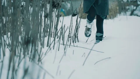 Snow Walk in the Forest in the Winter 4K Stock Footage 86339919