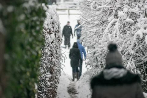 Snow Walk Stock Photos