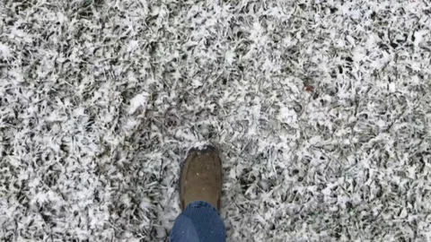 Snow Walking Man Stock Footage 86711778