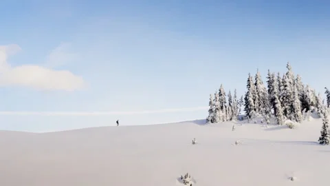 Snow Wanderer Stock-Footage 315114858