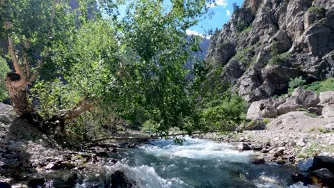 Snow water flowing down the side of the mountain Stock Footage 197524547