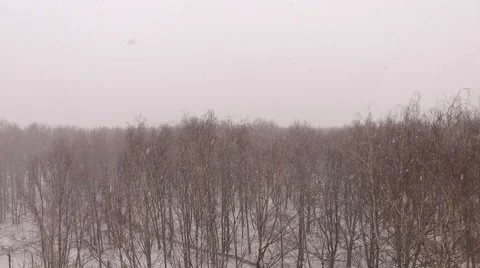 Snow Whirls Stock Footage 60057903