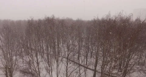 Snow Whirls Stock Footage 60058648