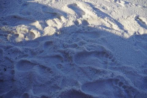 Snow white sand and pebbles on the ocean coast near the emerald ocean at sunset Stock-Fotos