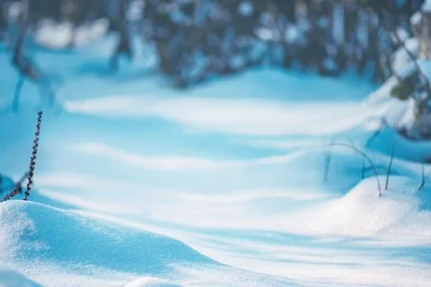 Snow white texture. Background of snow texture. Фото