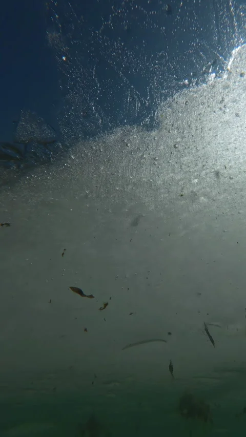 Snow-white translucent ice with frozen air bubbles and shimmers in sunshine, Stock Footage 336000355