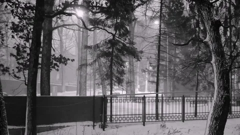 Snow Wind In Monochrome On The Frontal View Stock Footage 84104396