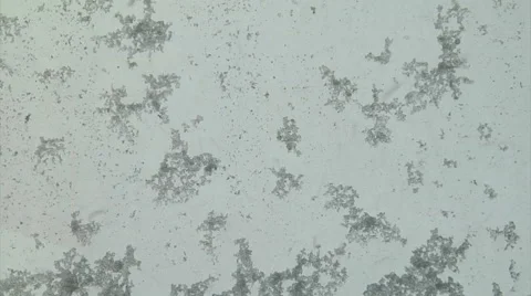 Snow on Window Video stock 54760169