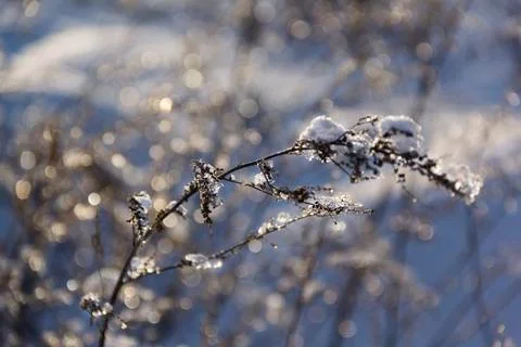 Snow winter background Foto stock