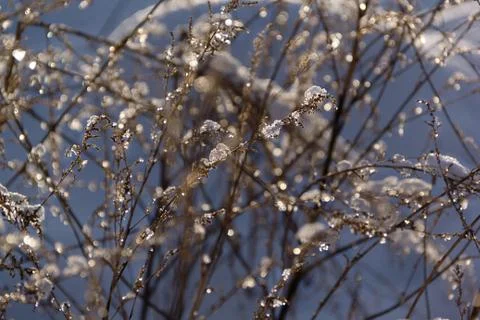 Snow winter background Stock Photos
