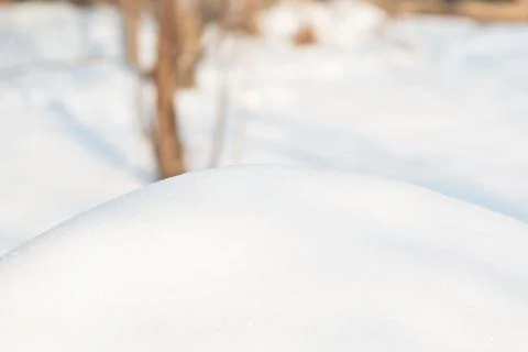 Snow winter background Stock Photos