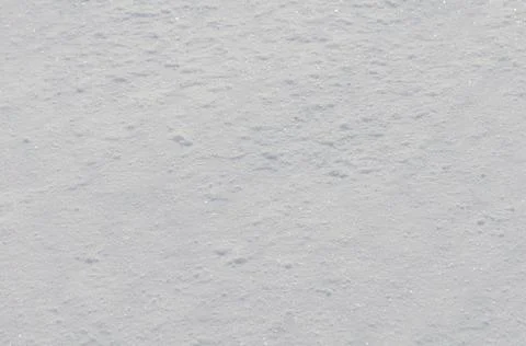 Snow winter background Фото