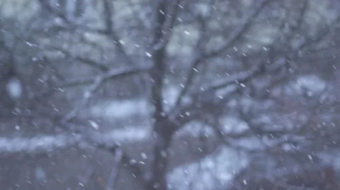 Snow winter background slow motion Stock Footage 64539940
