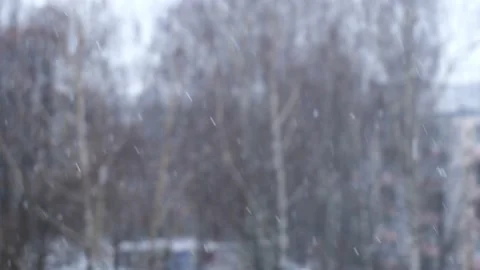 Snow in winter on the background of trees in the yard Stock Footage 147499385