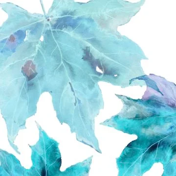 Snow winter colored maple leaves for background Stock Illustration