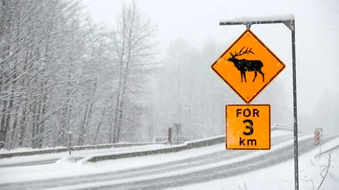 Snow Winter Driving Road Condition Whistler Squamish Stock Footage 158191153