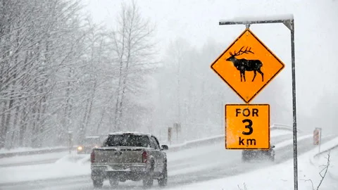 Snow Winter Driving Road Condition Whistler Squamish Video stock 158191574