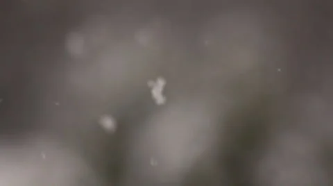 Snow in winter  Stock Footage 1084238