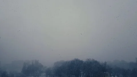 Snow in winter Stock Footage 85688602