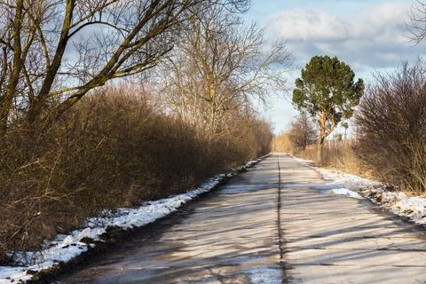 Snow in the winter forest, mixed forest Stock Photos