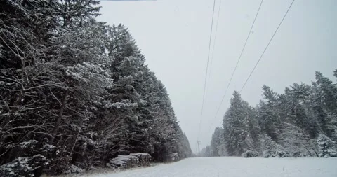 Snow winter forest small town roads and nature views Video stock 154182383