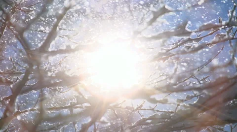 Snow winter forest. trees woods nature. Stockbeeldmateriaal 34530381