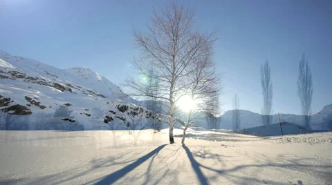 Snow winter landscape background. time lapse. tree silhouette Stock Footage 37146632