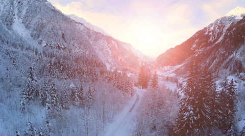 Snow winter landscape. sunset dusk. forest woods trees Stock Footage 34564327