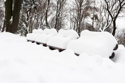 Snow winter in a park Stock Photos