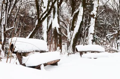 Snow winter in a park Stock Photos