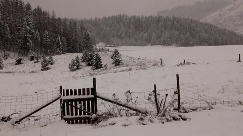 Snow in winter on a ranch Stock Footage 1079675