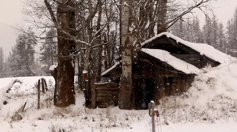 Snow in winter on a ranch Video stock 1081070