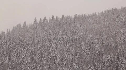 Snow in winter on a ranch Stock Footage 1081266