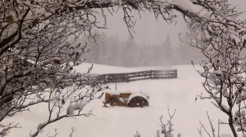 Snow in winter on a ranch Video stock 1083398