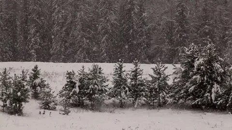 Snow in winter on a ranch Stock Footage 1084158