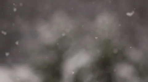 Snow in winter on a ranch Stock Footage 1084297