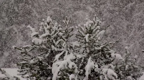 Snow in winter on a ranch Stock Footage 1084631