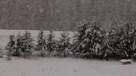 Snow in winter on a ranch Stock Footage 1084835