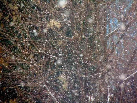 Snow in winter - in Romania Photos