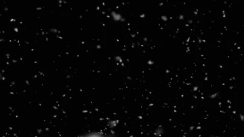 Snow. Winter snowfall. Falling realistic snowflakes on a black background. Loop Stock Footage 81263243