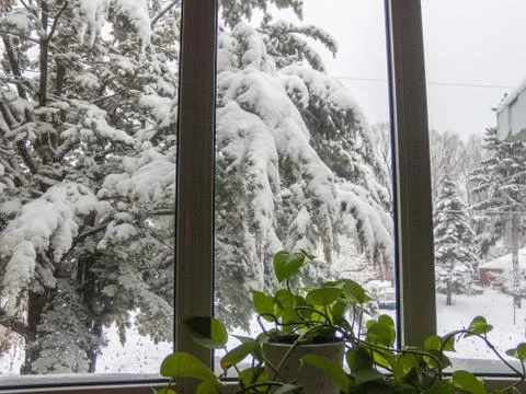 Snow winter view in window Stock Photos